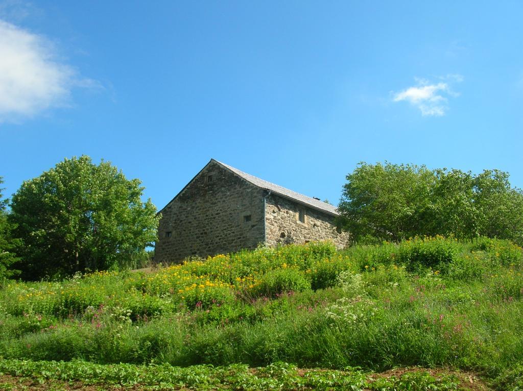 Saint-Front Bastides Du Mezenc住宿加早餐旅馆 外观 照片